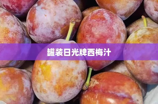罐装日光牌西梅汁