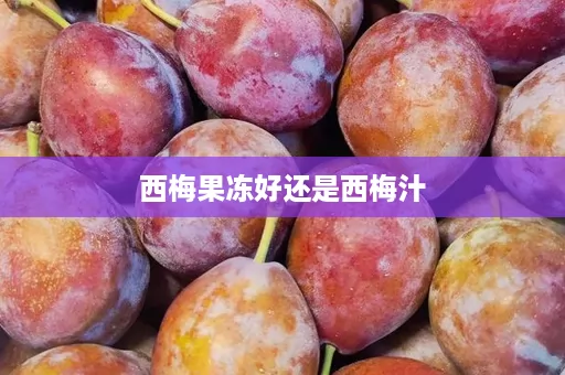 西梅果冻好还是西梅汁