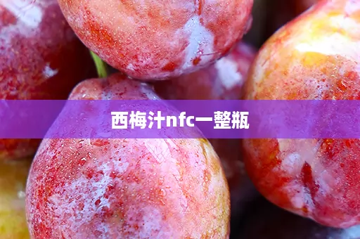 西梅汁nfc一整瓶 西梅汁nfc一整瓶