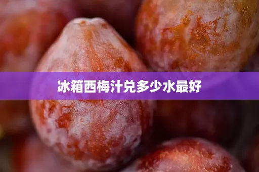 冰箱西梅汁兑多少水最好