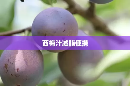 西梅汁减脂便携