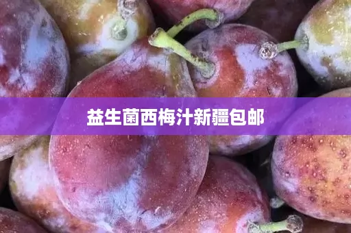 益生菌西梅汁新疆包邮 益生菌西梅汁新疆包邮