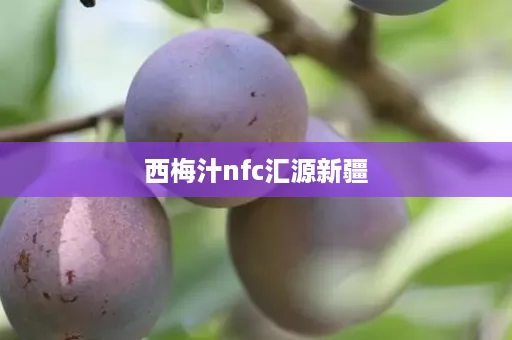 西梅汁nfc汇源新疆 西梅汁nfc汇源新疆