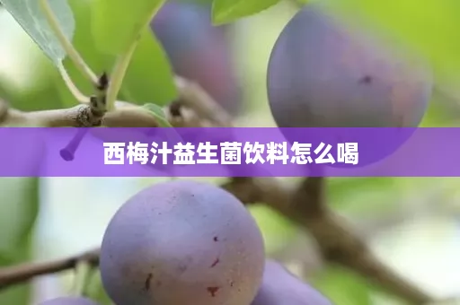 西梅汁益生菌饮料怎么喝 西梅汁益生菌饮料怎么喝