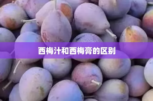 西梅汁和西梅膏的区别