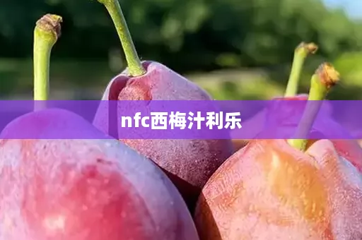 nfc西梅汁利乐 nfc西梅汁利乐