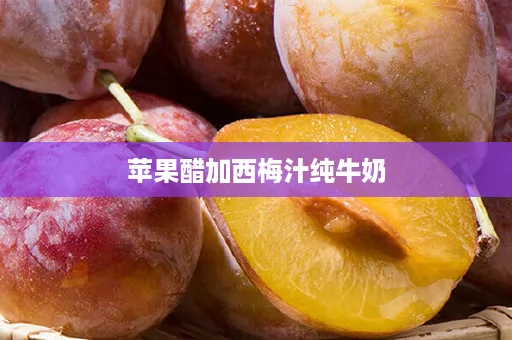 苹果醋加西梅汁纯牛奶