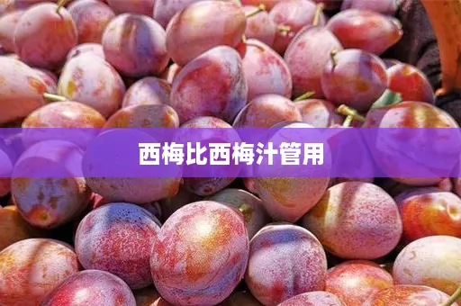 西梅比西梅汁管用