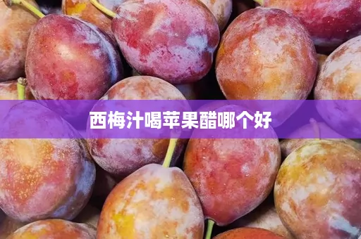 西梅汁喝苹果醋哪个好