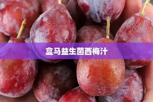 盒马益生菌西梅汁