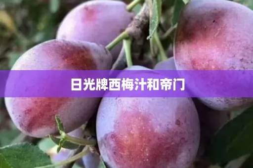 日光牌西梅汁和帝门