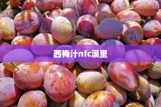 西梅汁nfc漠里