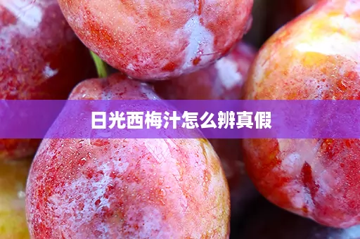 日光西梅汁怎么辨真假