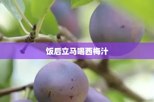 饭后立马喝西梅汁