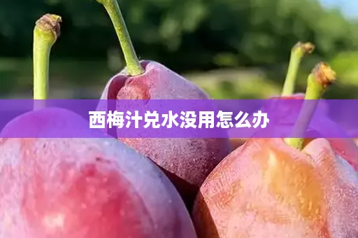 西梅汁兑水没用怎么办