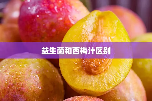 益生菌和西梅汁区别