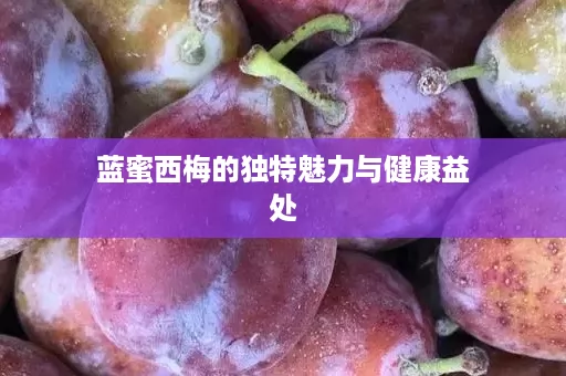 蓝蜜西梅的独特魅力与健康益处
