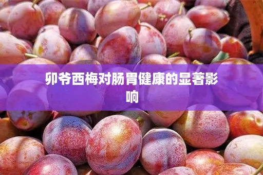 卯爷西梅对肠胃健康的显著影响