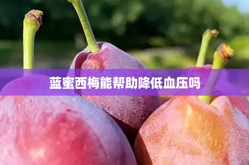 蓝蜜西梅能帮助降低血压吗