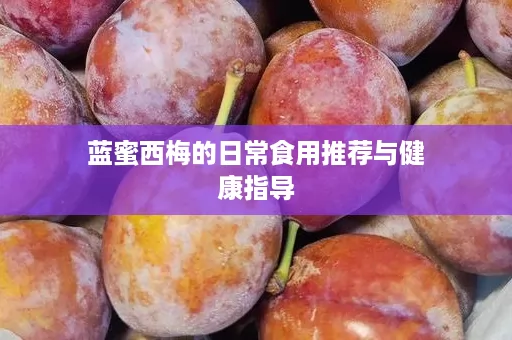 蓝蜜西梅的日常食用推荐与健康指导