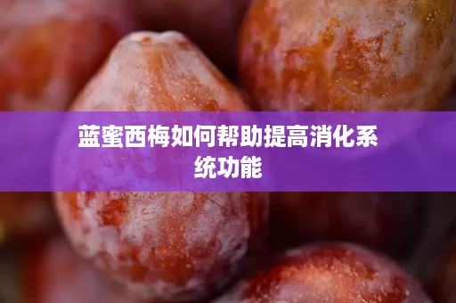 蓝蜜西梅如何帮助提高消化系统功能 蓝蜜西梅如何帮助提高消化系统功能