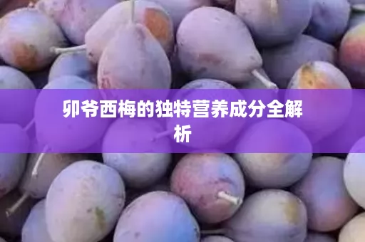 卯爷西梅的独特营养成分全解析 卯爷西梅的独特营养成分全解析