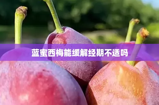 蓝蜜西梅能缓解经期不适吗