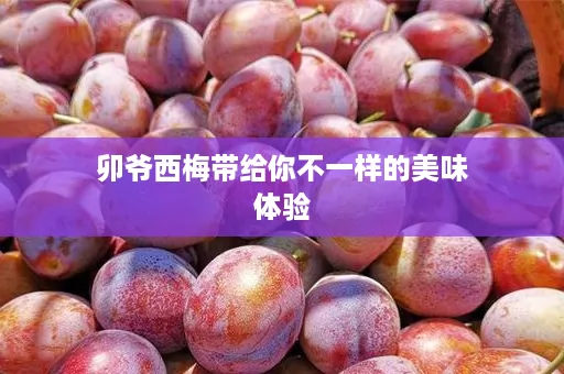 卯爷西梅带给你不一样的美味体验