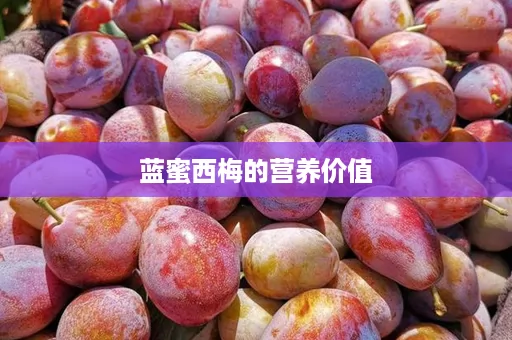 蓝蜜西梅的营养价值