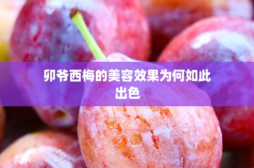 卯爷西梅的美容效果为何如此出色