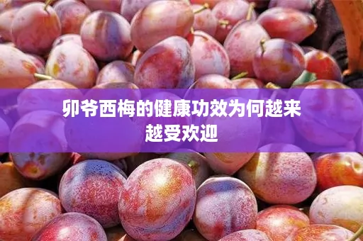 卯爷西梅的健康功效为何越来越受欢迎