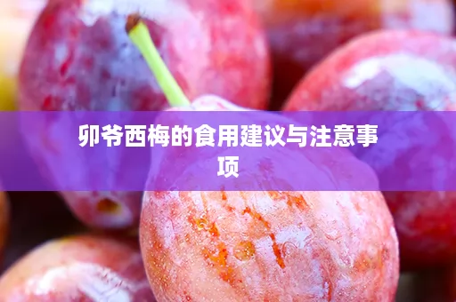 卯爷西梅的食用建议与注意事项