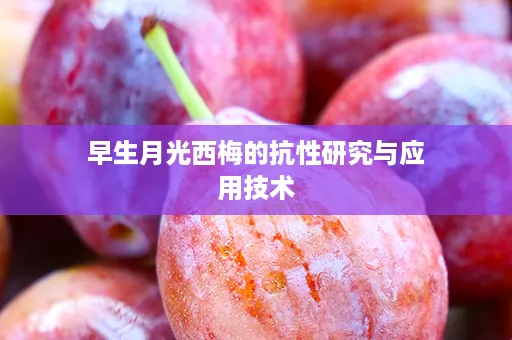 早生月光西梅的抗性研究与应用技术