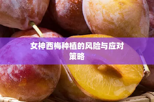女神西梅种植的风险与应对策略
