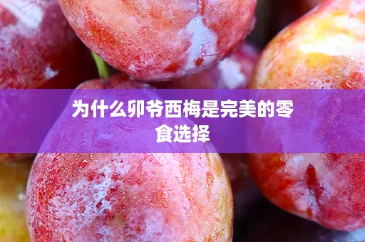 为什么卯爷西梅是完美的零食选择 为什么卯爷西梅是完美的零食选择