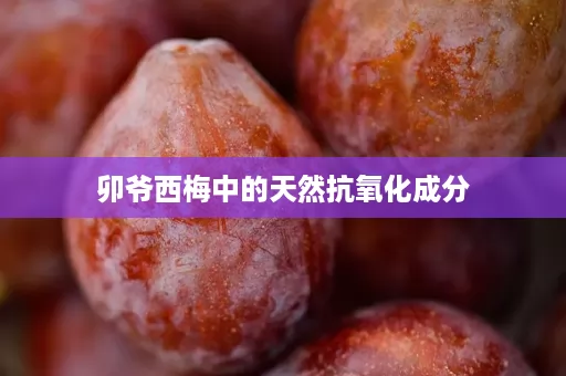 卯爷西梅中的天然抗氧化成分