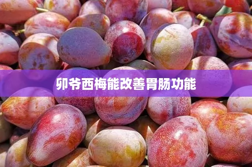 卯爷西梅能改善胃肠功能