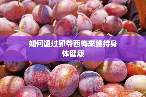 如何通过卯爷西梅来维持身体健康