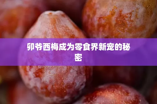 卯爷西梅成为零食界新宠的秘密