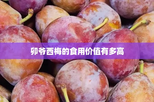 卯爷西梅的食用价值有多高