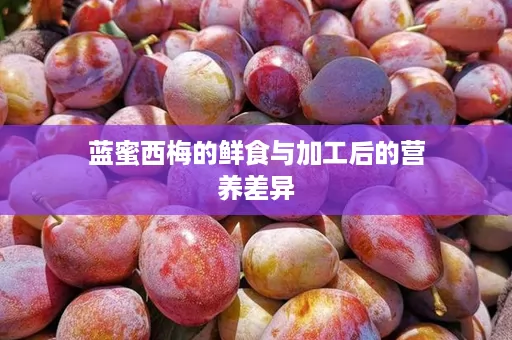 蓝蜜西梅的鲜食与加工后的营养差异