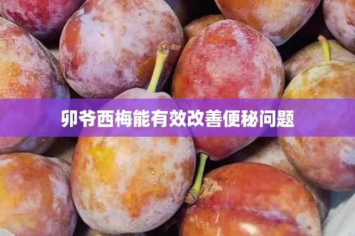 卯爷西梅能有效改善便秘问题