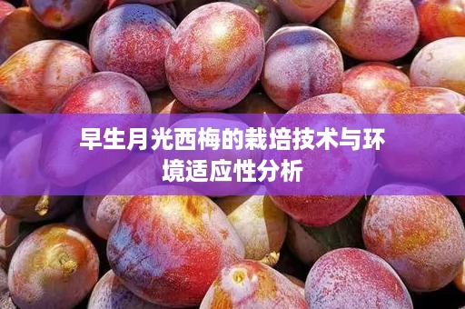 早生月光西梅的栽培技术与环境适应性分析