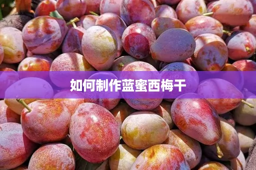 如何制作蓝蜜西梅干