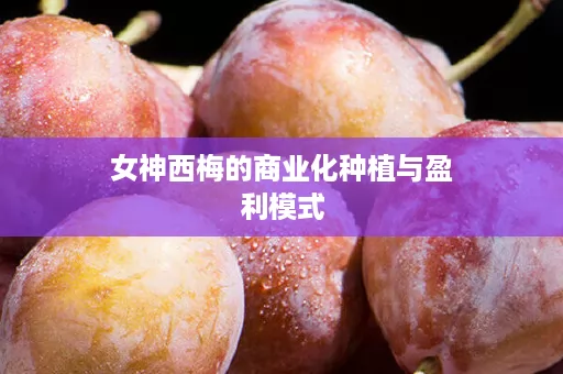 女神西梅的商业化种植与盈利模式 女神西梅的商业化种植与盈利模式