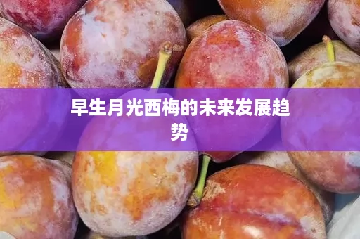 早生月光西梅的未来发展趋势