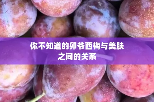 你不知道的卯爷西梅与美肤之间的关系