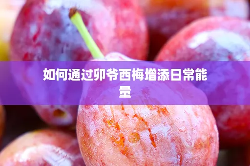 如何通过卯爷西梅增添日常能量