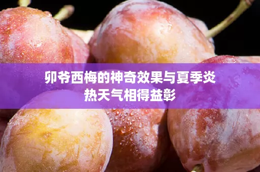 卯爷西梅的神奇效果与夏季炎热天气相得益彰