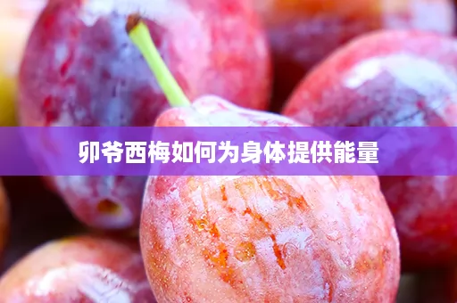 卯爷西梅如何为身体提供能量